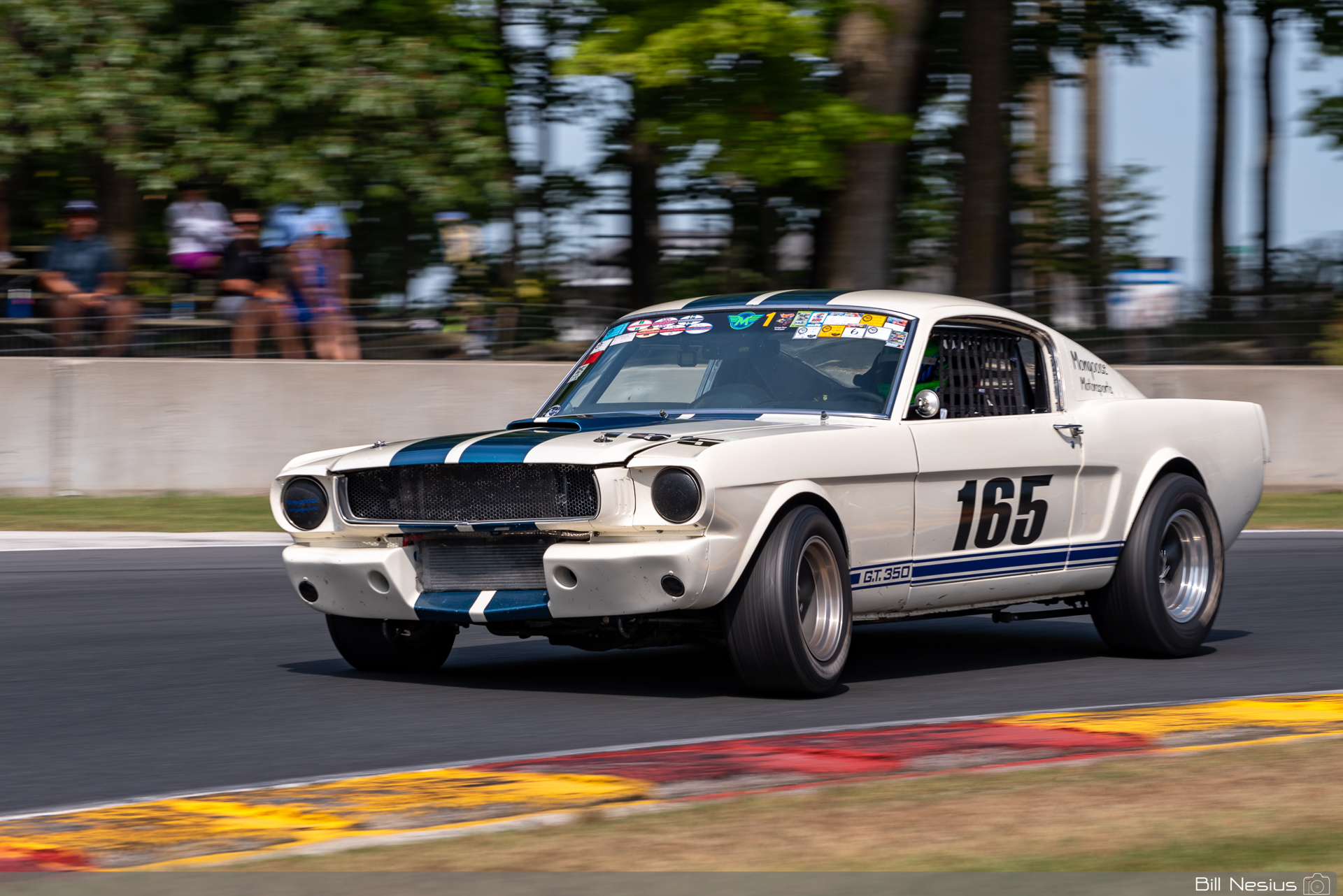 1965 Ford Mustang Shelby GT350 Number 165 / IMG_6007 / 3