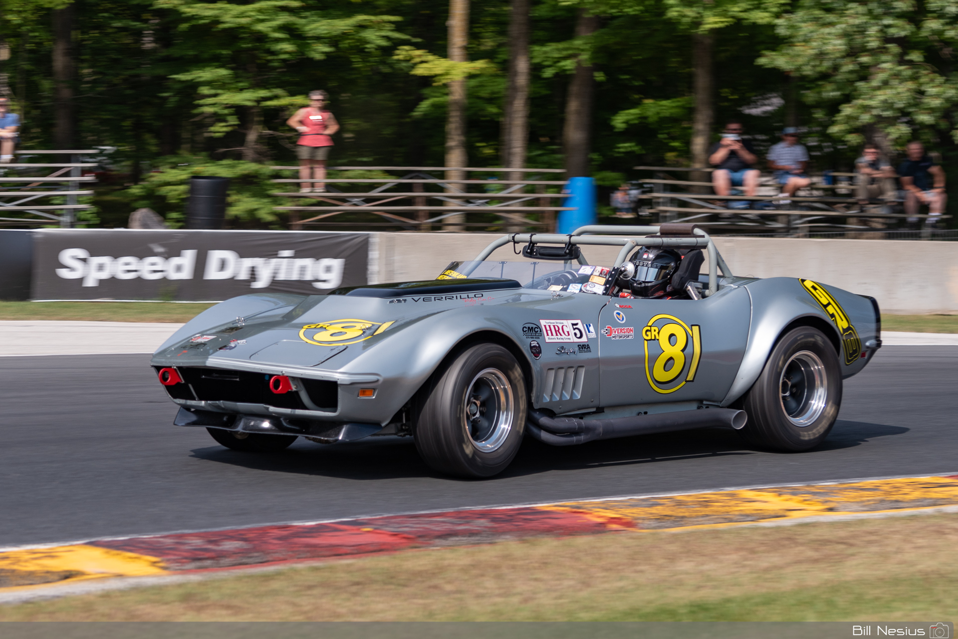 1969 Chevy Corvette Number 81 / IMG_6309 / 3