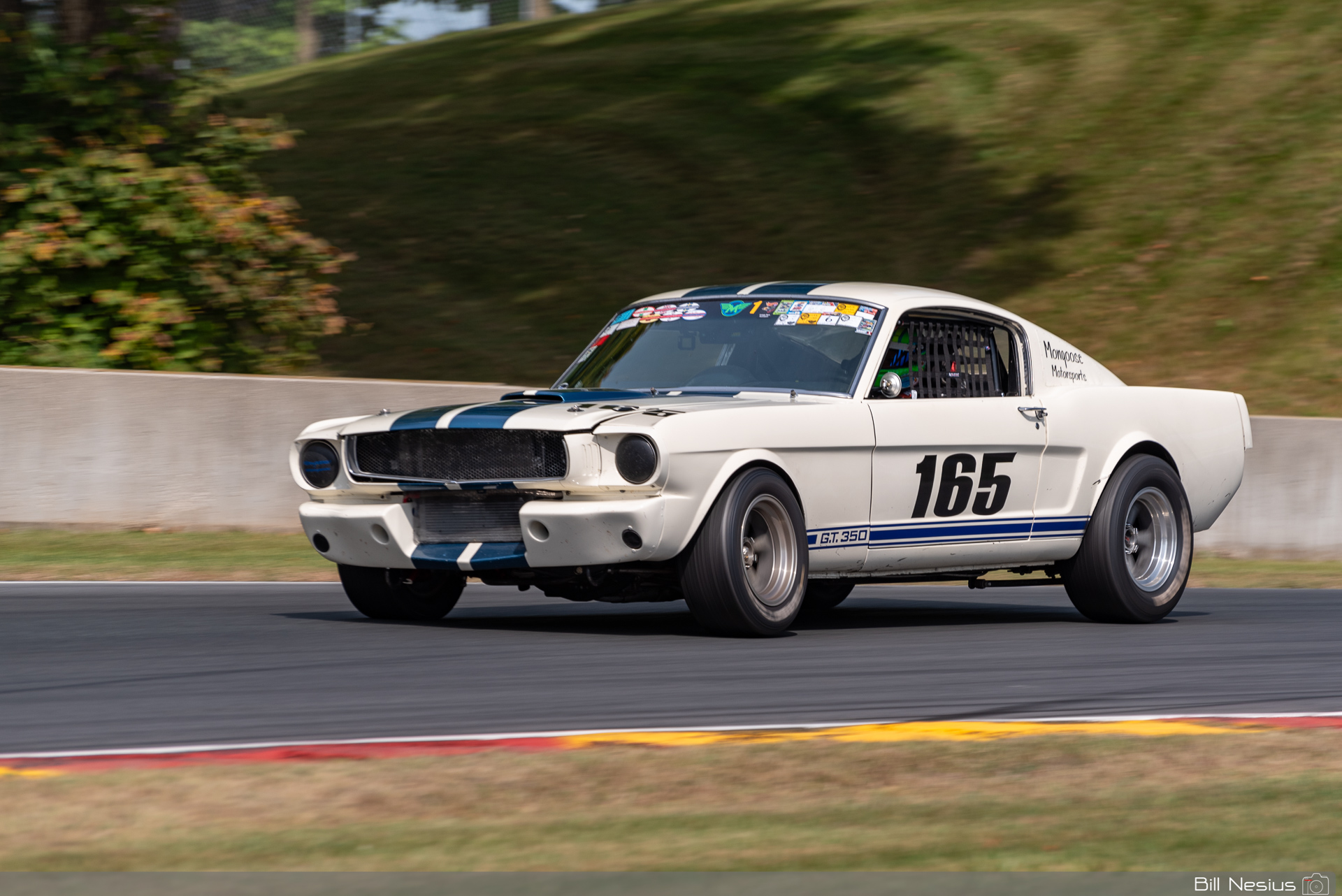 1965 Ford Mustang Shelby GT350 Number 165 / IMG_6323 / 3