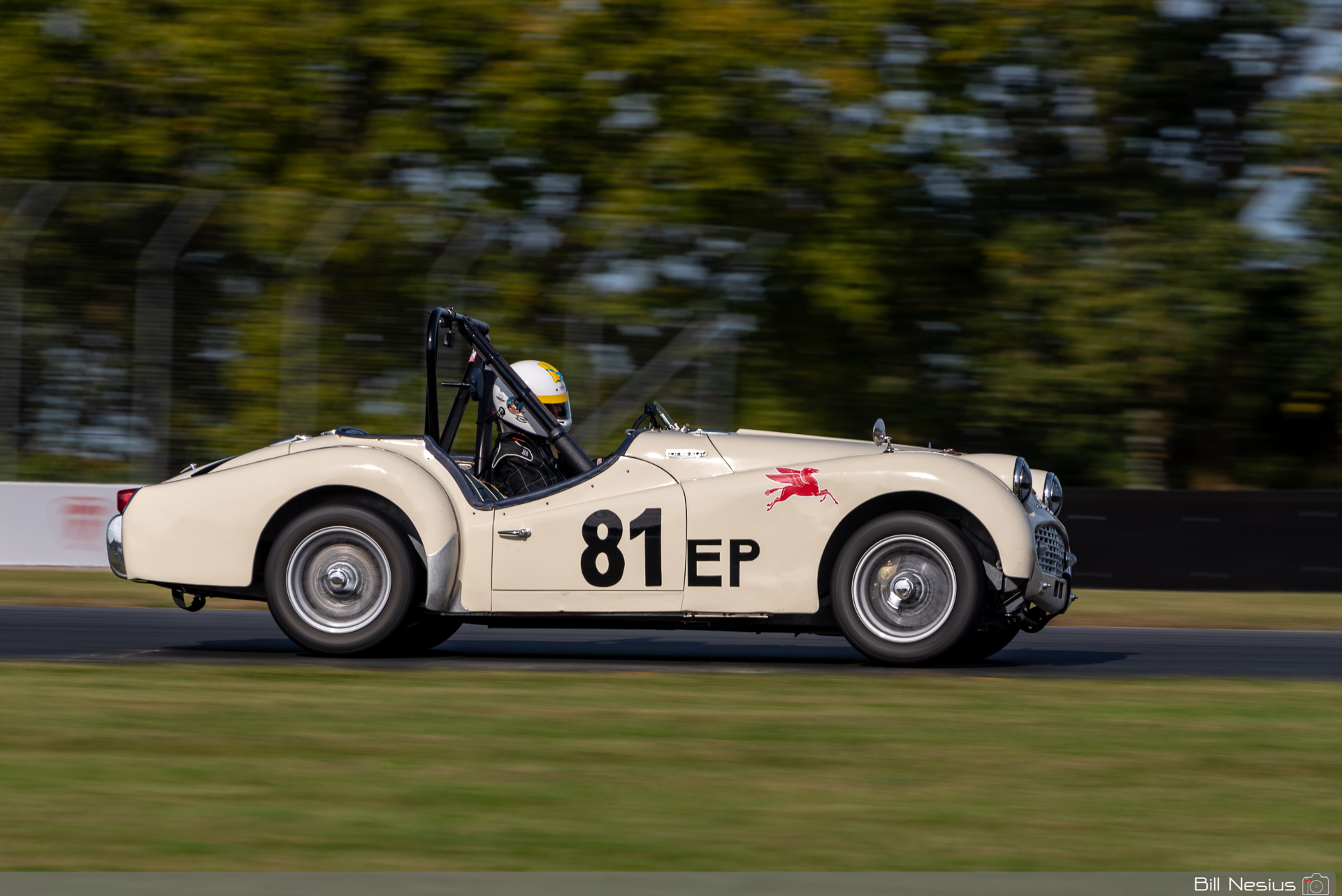 1958 Triumph TR3 Number 81 / IMG_7285 / 3