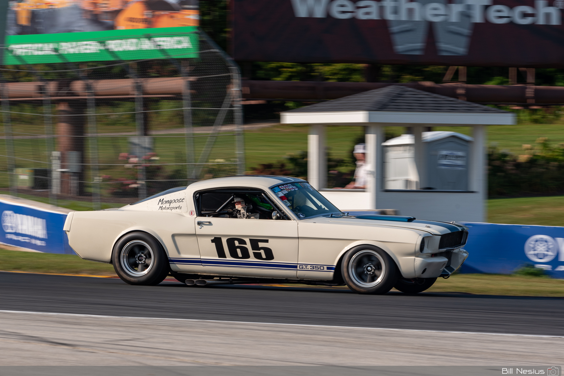 1965 Ford Mustang Shelby GT350 Number 165 / IMG_9425 / 3