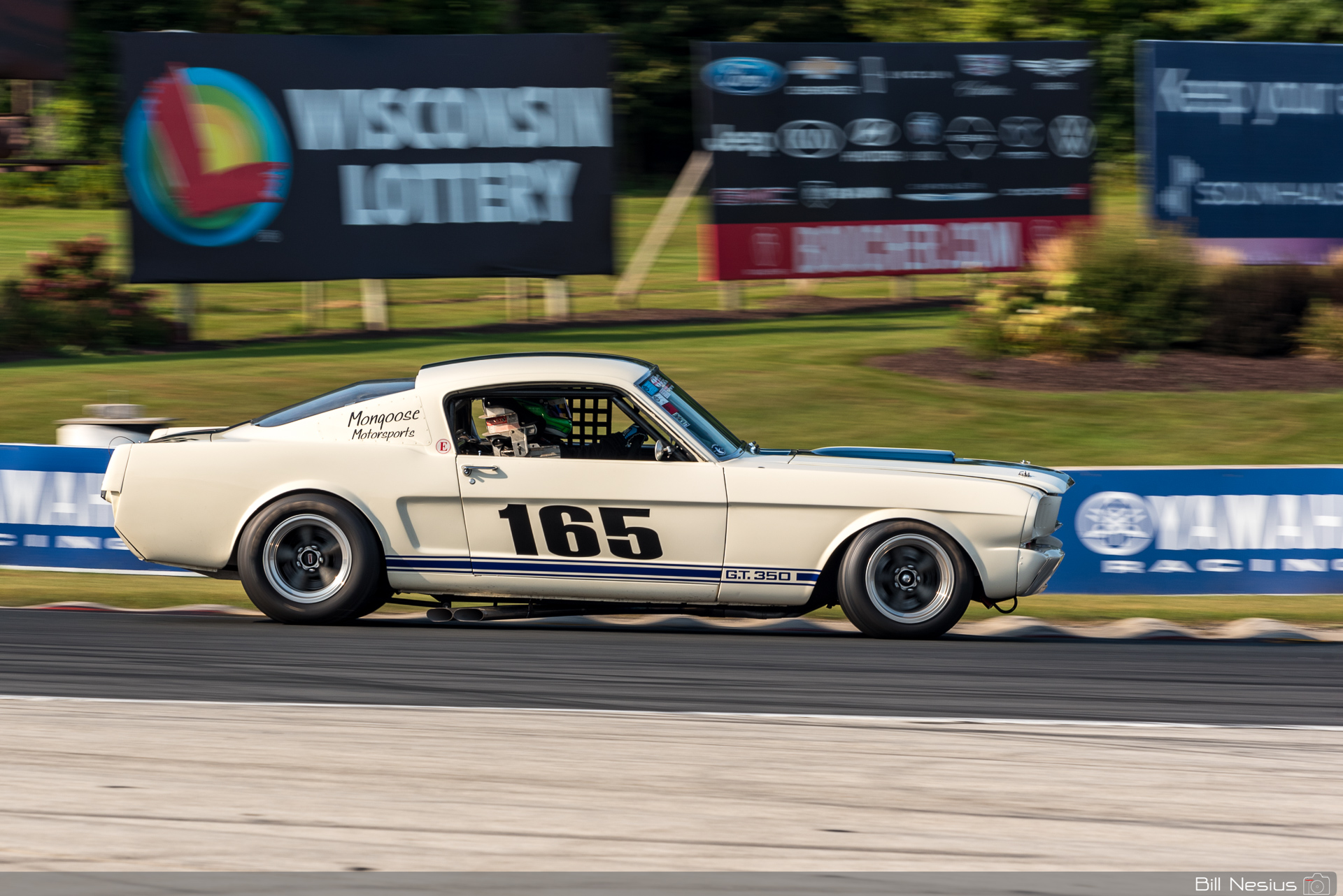 1965 Ford Mustang Shelby GT350 Number 165 / IMG_9427 / 4