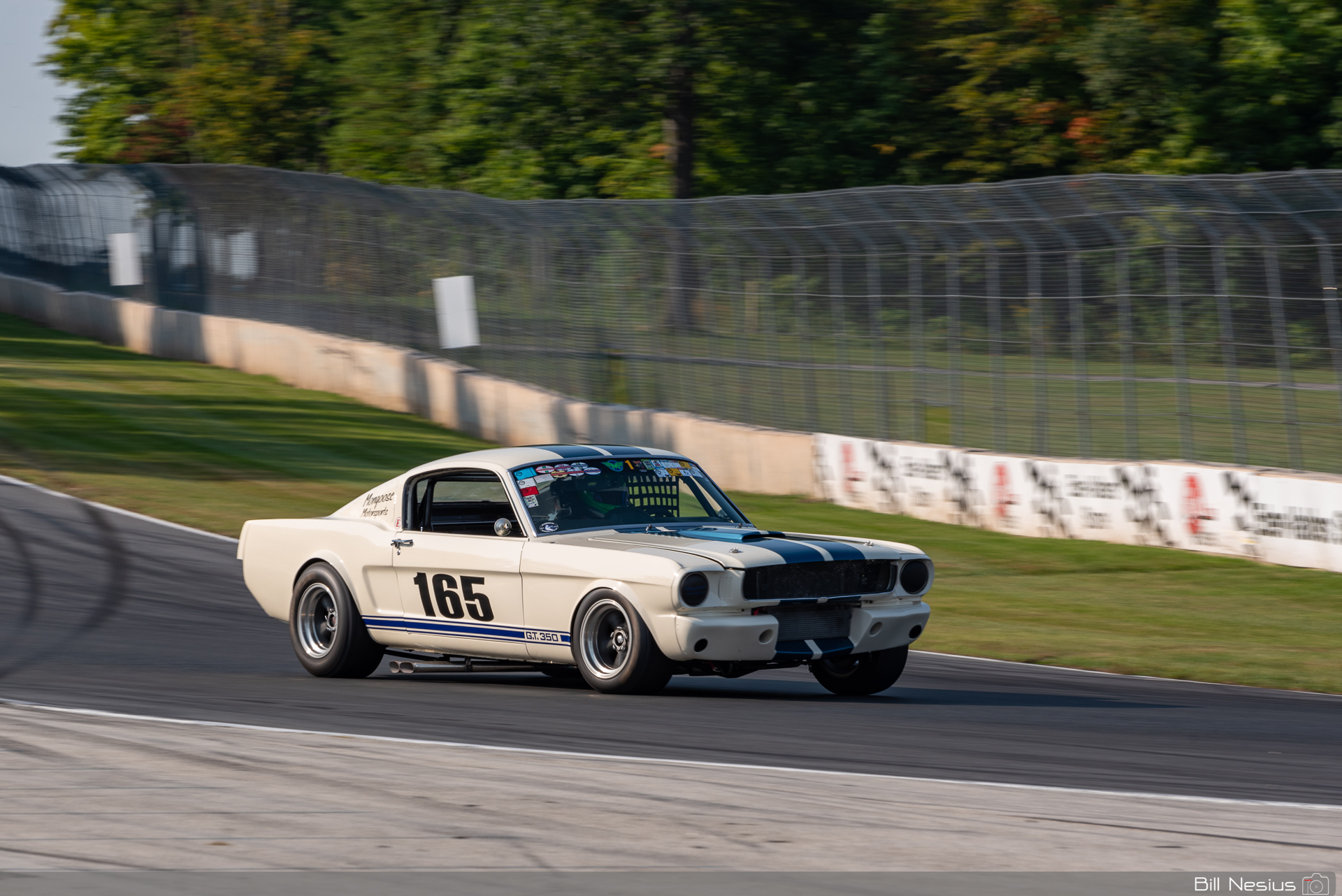 1965 Ford Mustang Shelby GT350 Number 165 / IMG_9581 / 3