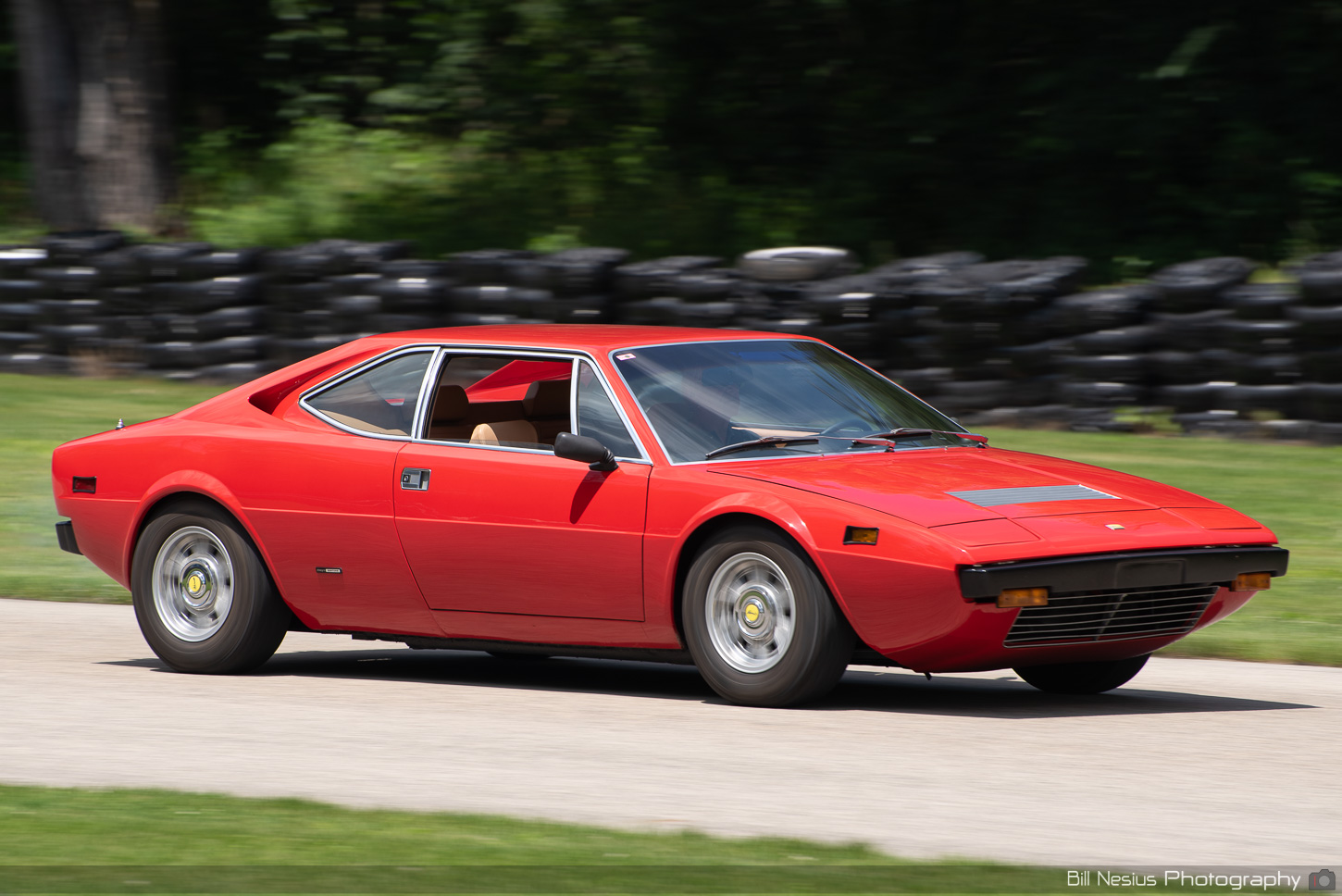 Ferrari Dino 308 GT4 ~ DSC_6903