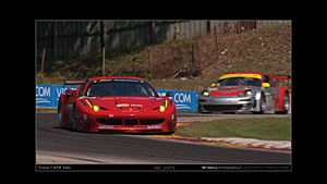 ALMS Wallpaper images