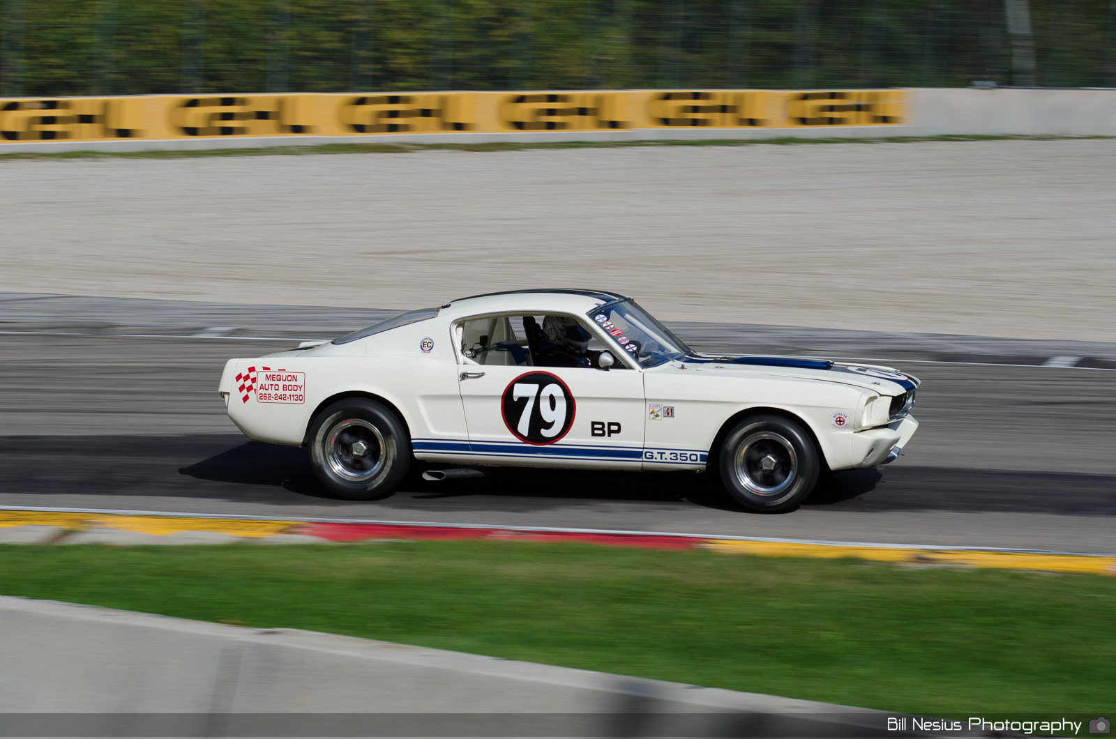 Ford Mustang Shelby GT350 Number 79 / DSC_1697 / 4