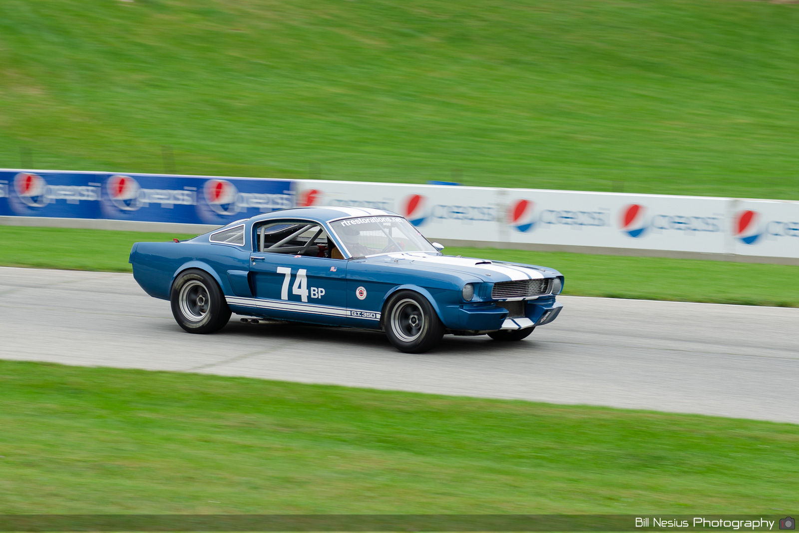 Ford Mustang Shelby GT350 Number 74 / DSC_1918 / 