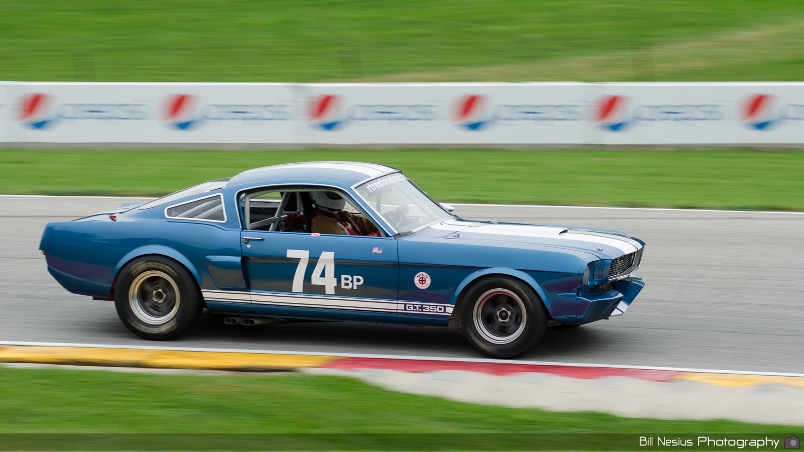Ford Mustang Shelby GT350 Number 74 / DSC_1921 / 4