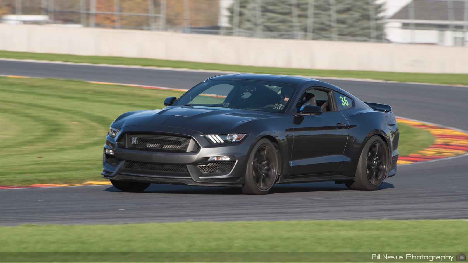 Ford Mustang GT350 Number 36 ~ DSC_1680 ~ 3