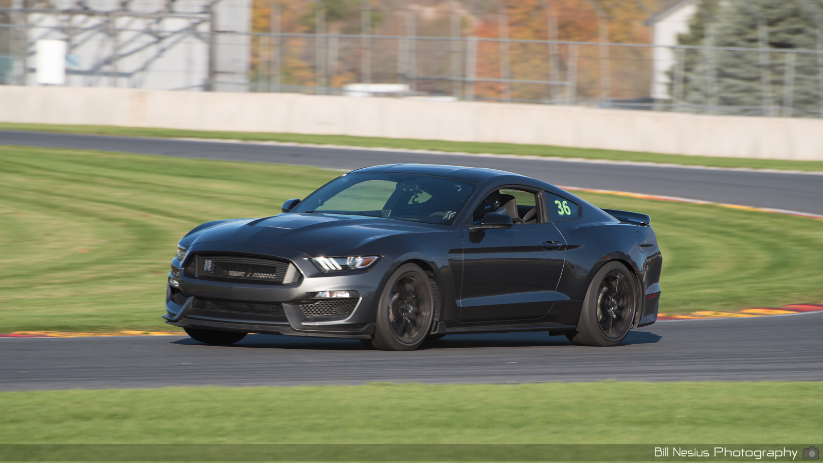 Ford Mustang GT350 Number 36 ~ DSC_1681 ~ 3
