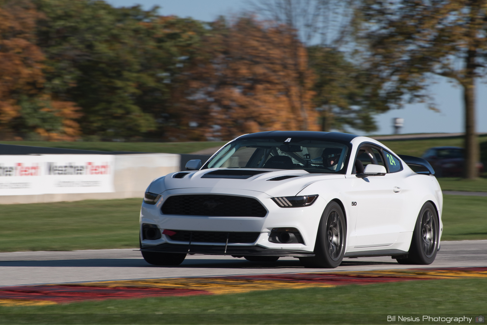 Ford Mustang GT Number 24 ~ DSC_2418 ~ 4