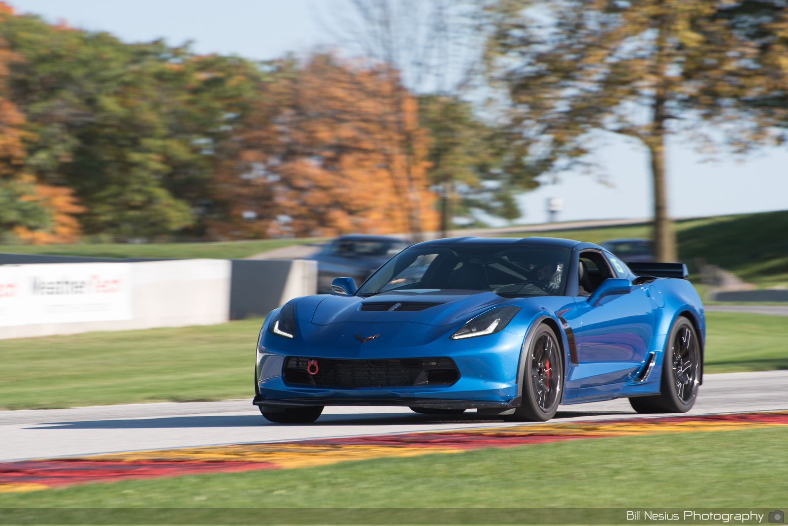 Chevy Corvette Number 15 ~ DSC_2445 ~ 3