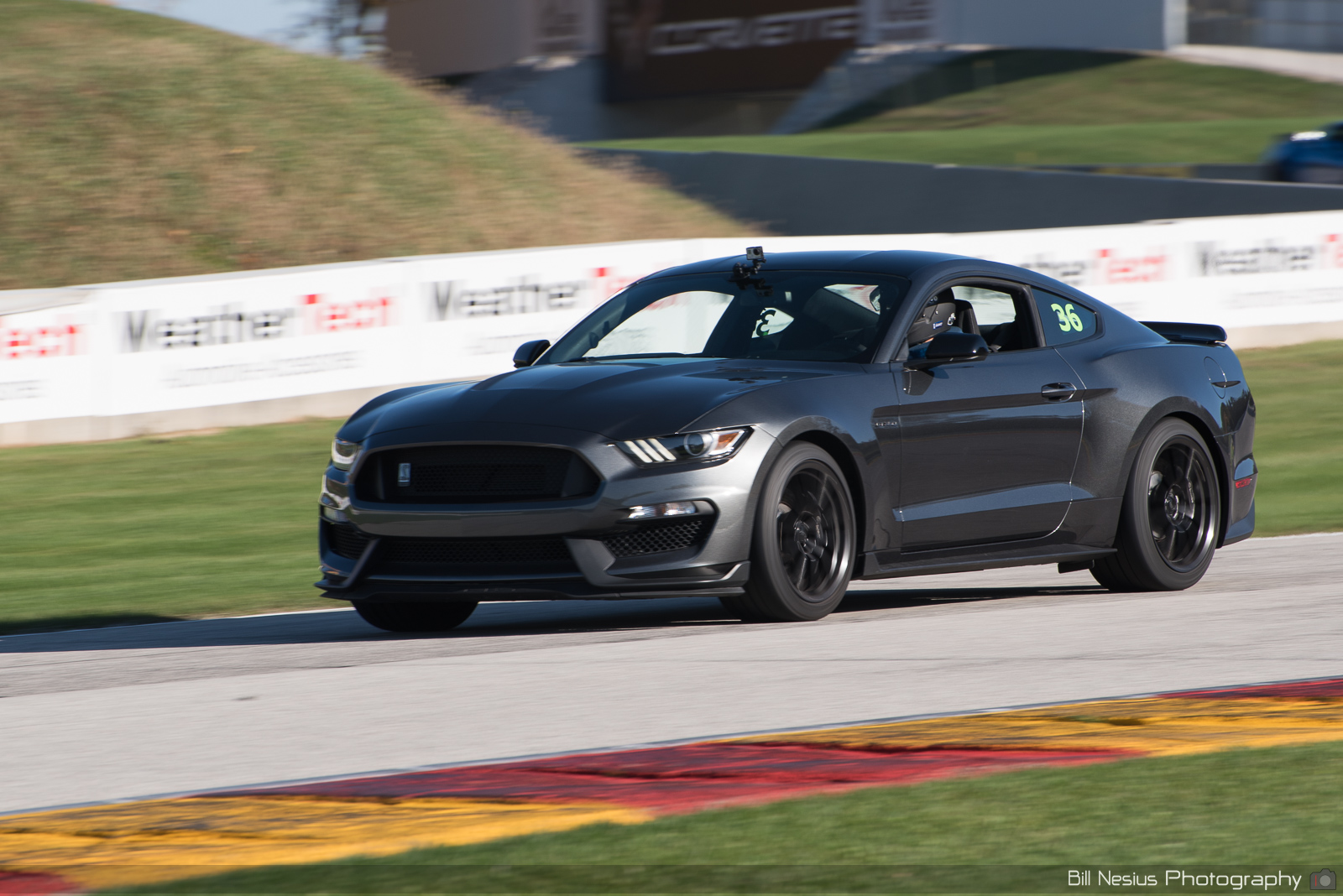 Ford Mustang GT350 Number 36 ~ DSC_2512 ~ 4