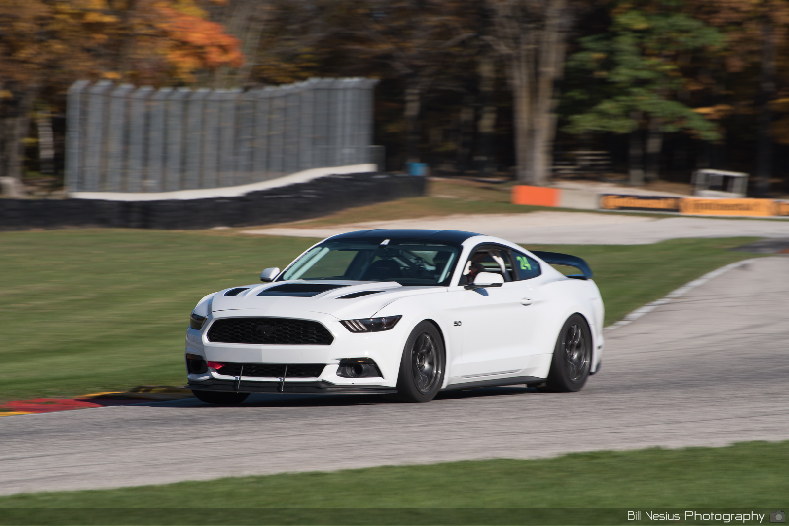 Ford Mustang GT Number 24 ~ DSC_2699 ~ 1