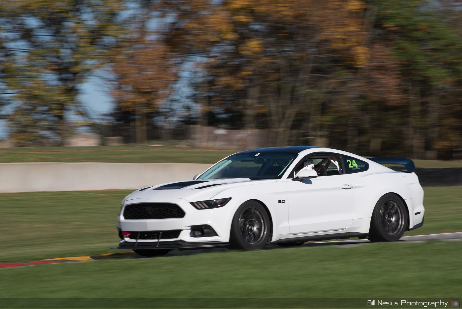 Ford Mustang GT Number 24 ~ DSC_2784 ~ 3