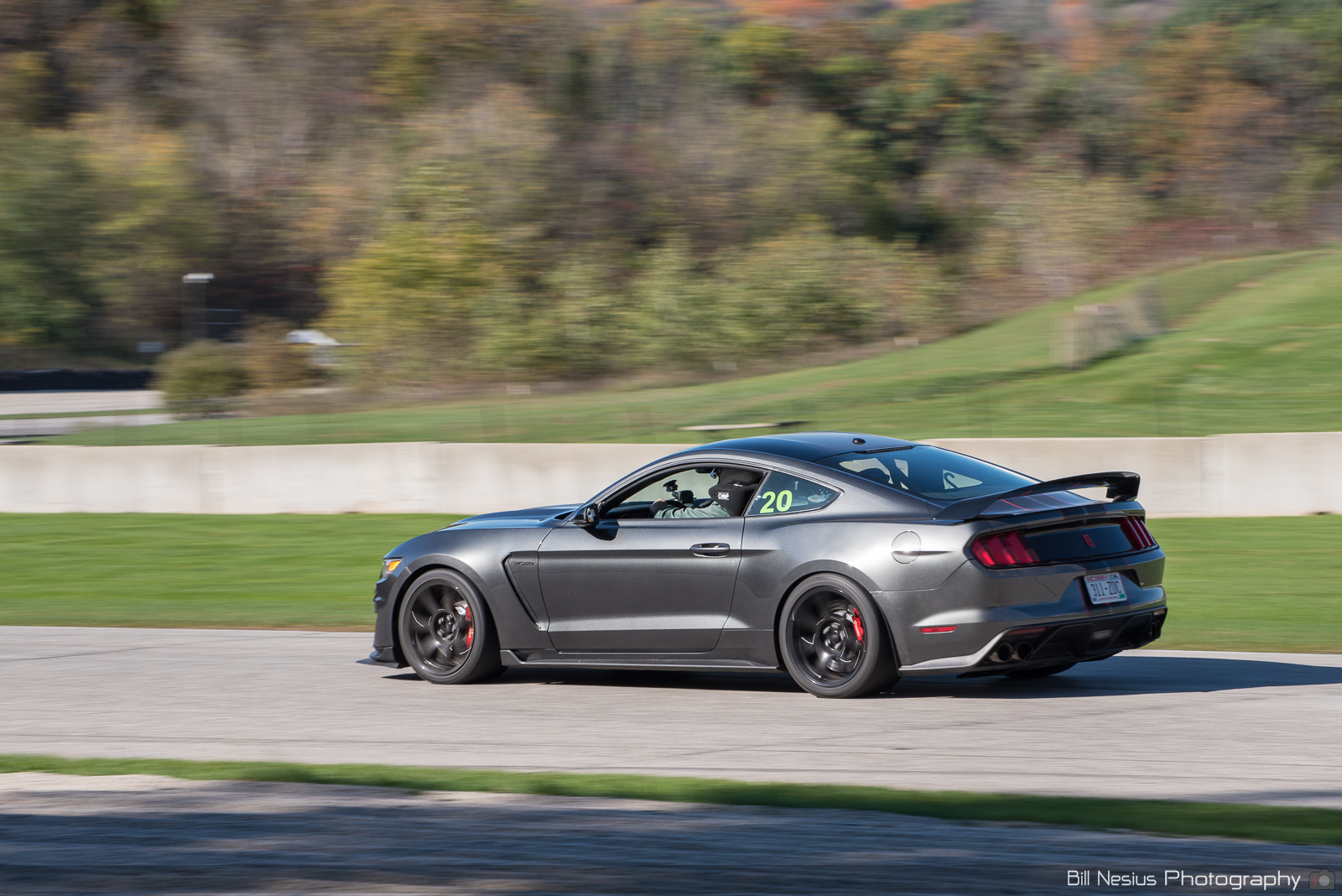 Ford Mustang GT350 Number 20 ~ DSC_3639 ~ 3