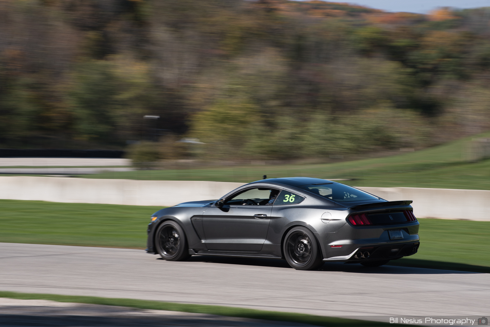 Ford Mustang GT350 Number 36 ~ DSC_3675 ~ 3