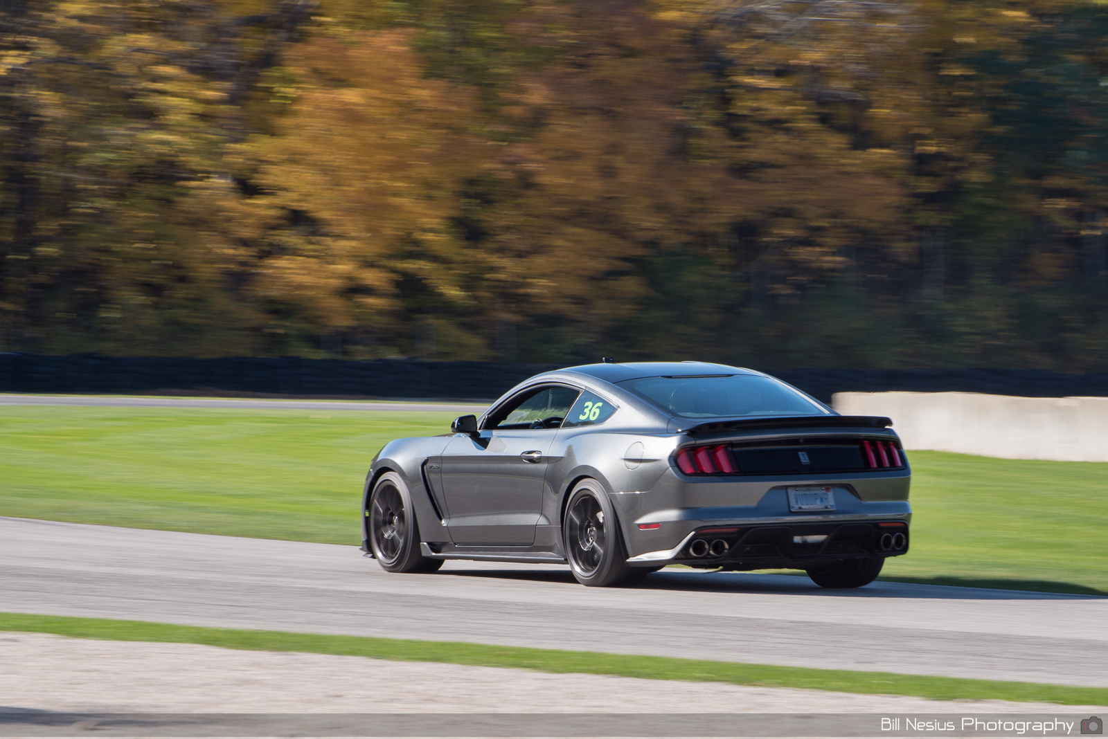 Ford Mustang GT350 Number 36 ~ DSC_3726 ~ 3