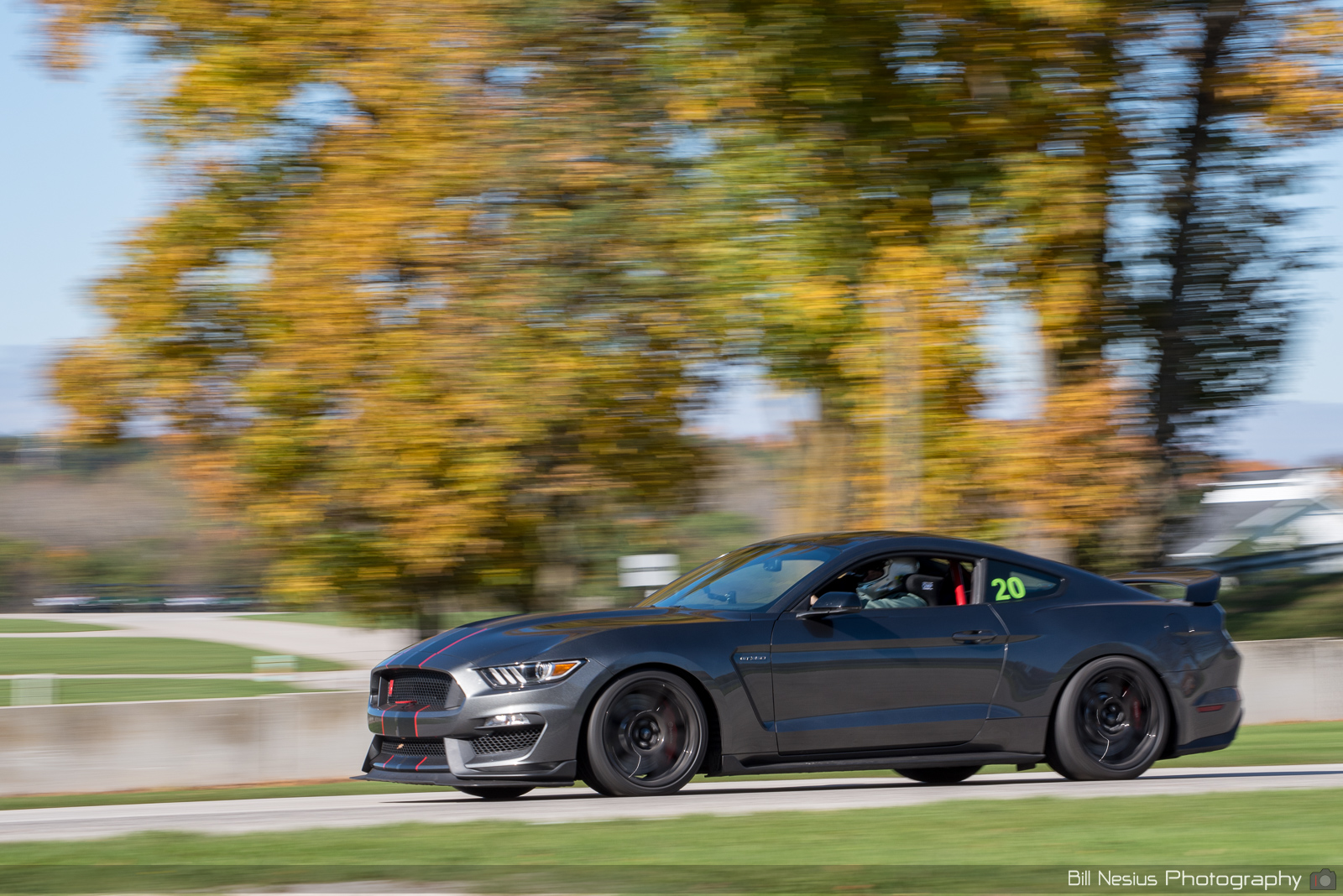 Ford Mustang GT350 Number 20 ~ DSC_3766 ~ 2
