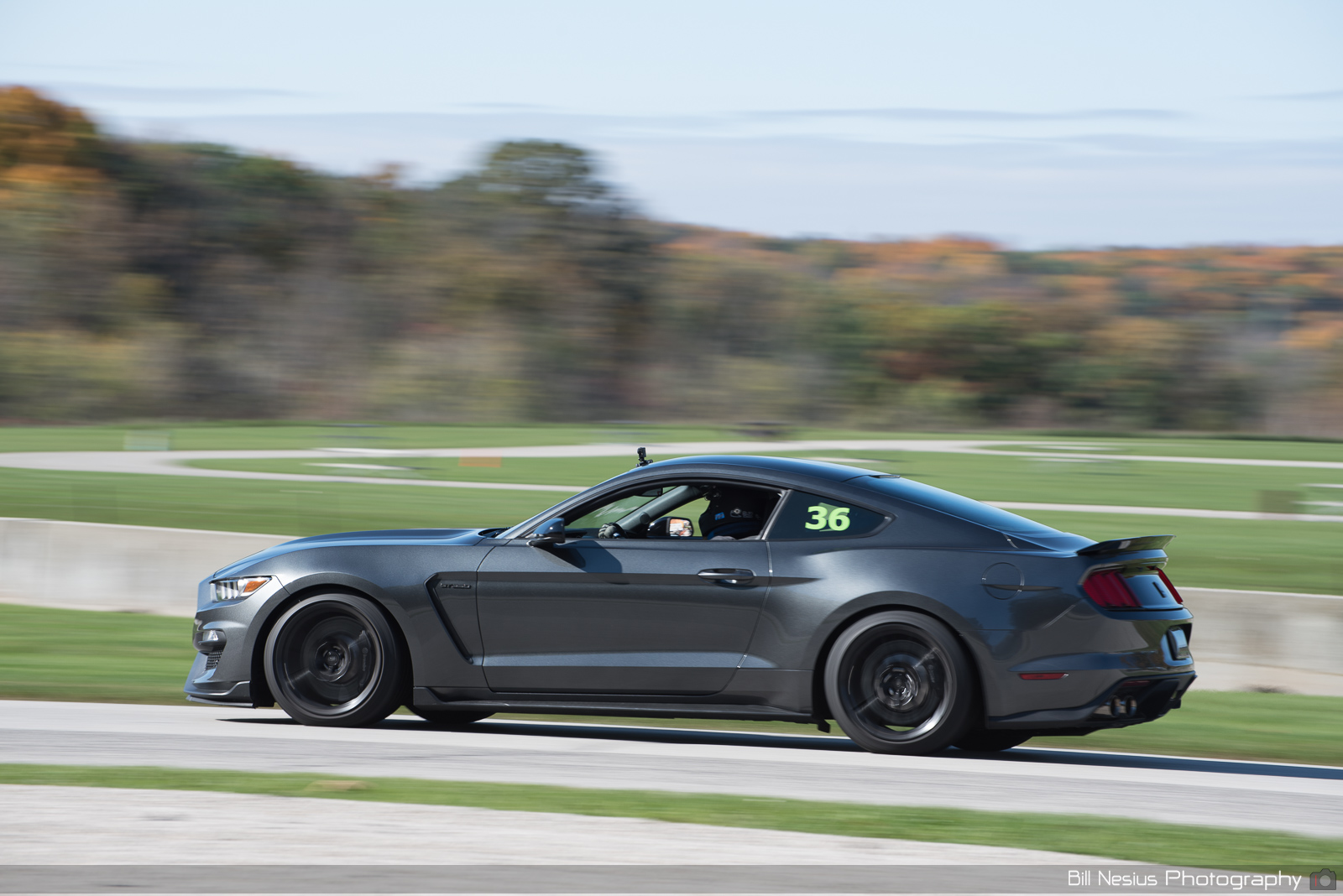 Ford Mustang GT350 Number 36 ~ DSC_3801 ~ 3