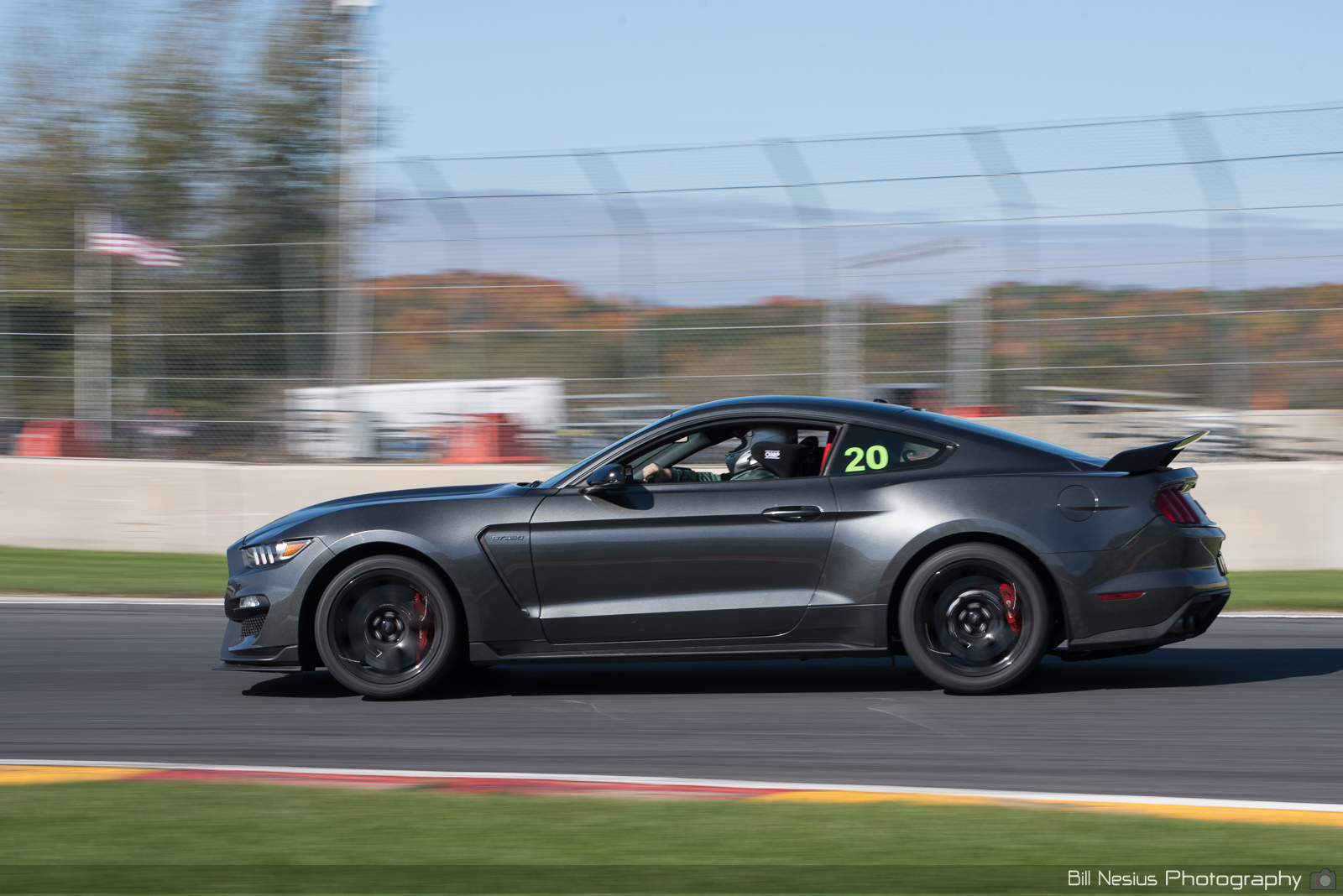 Ford Mustang GT350 Number 20 ~ DSC_3931 ~ 3