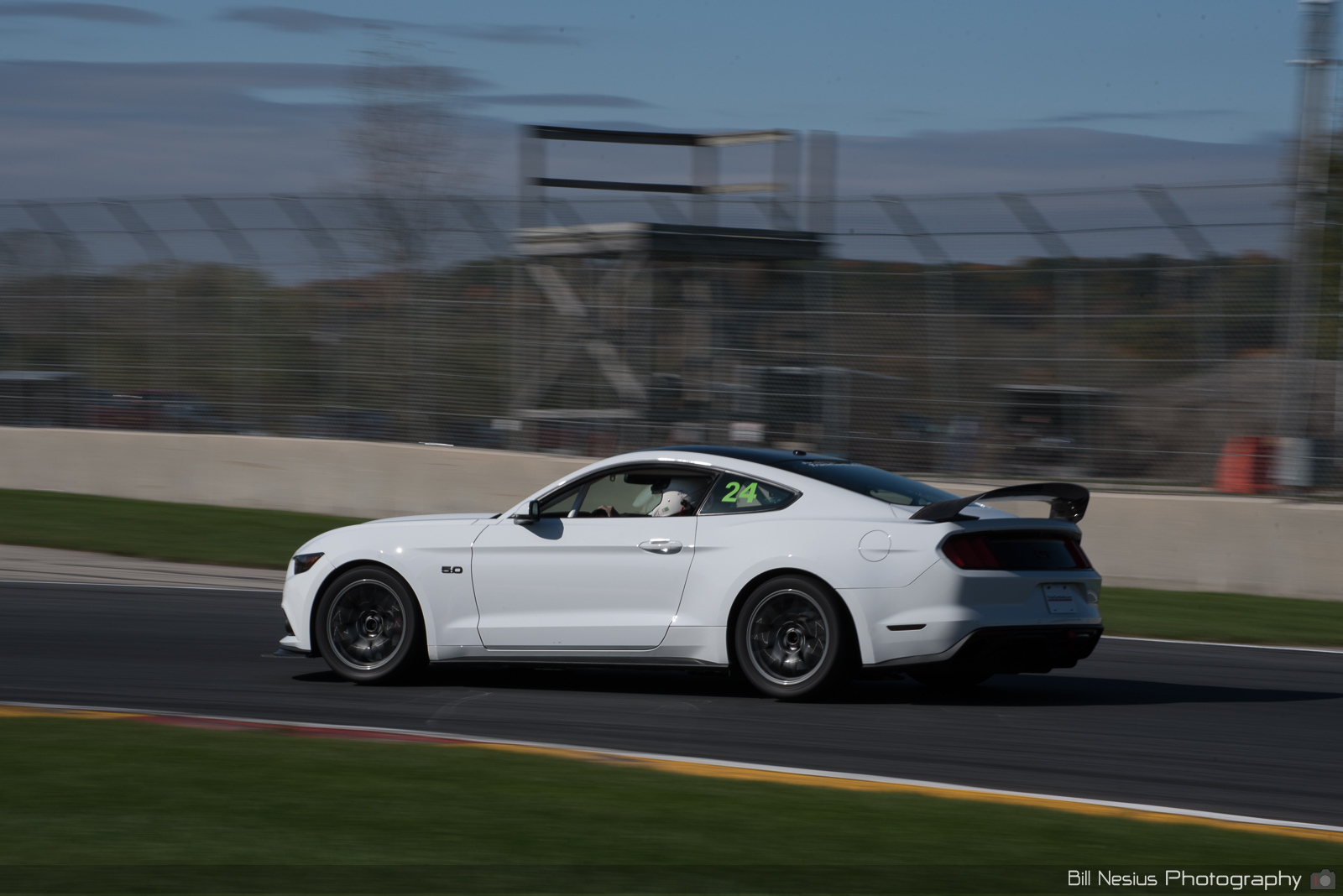 Ford Mustang GT Number 24 ~ DSC_3959 ~ 3