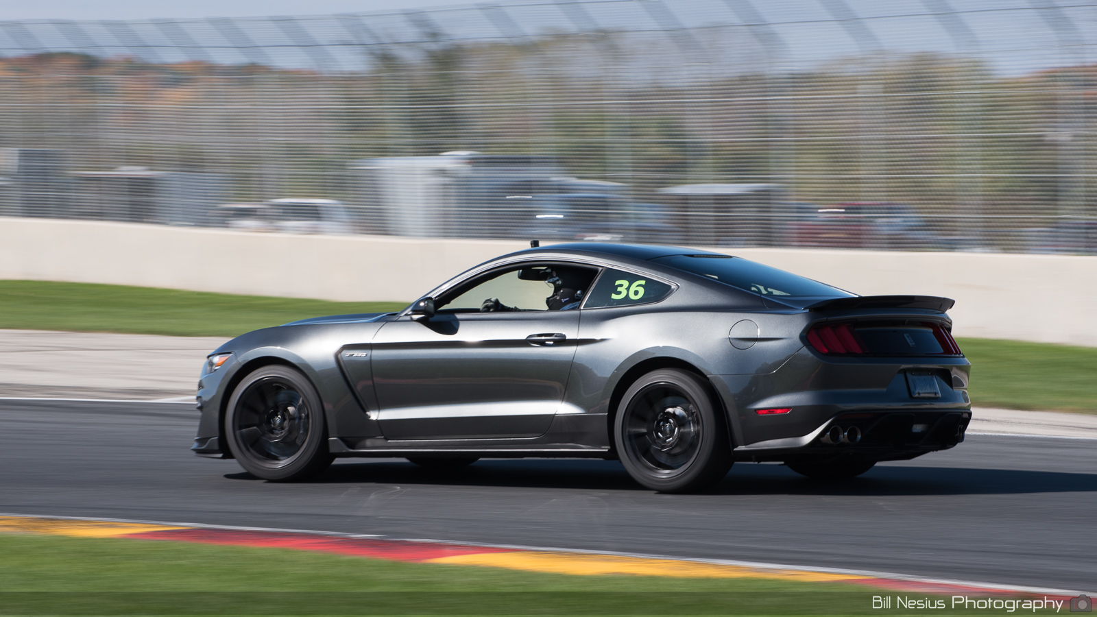 Ford Mustang GT350 Number 36 ~ DSC_3967 ~ 4