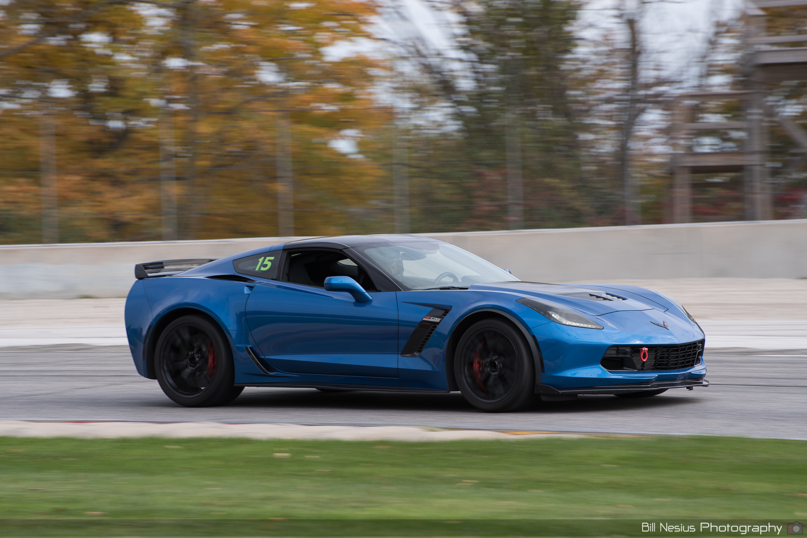 Chevy Corvette Number 15 ~ DSC_4862 ~ 4