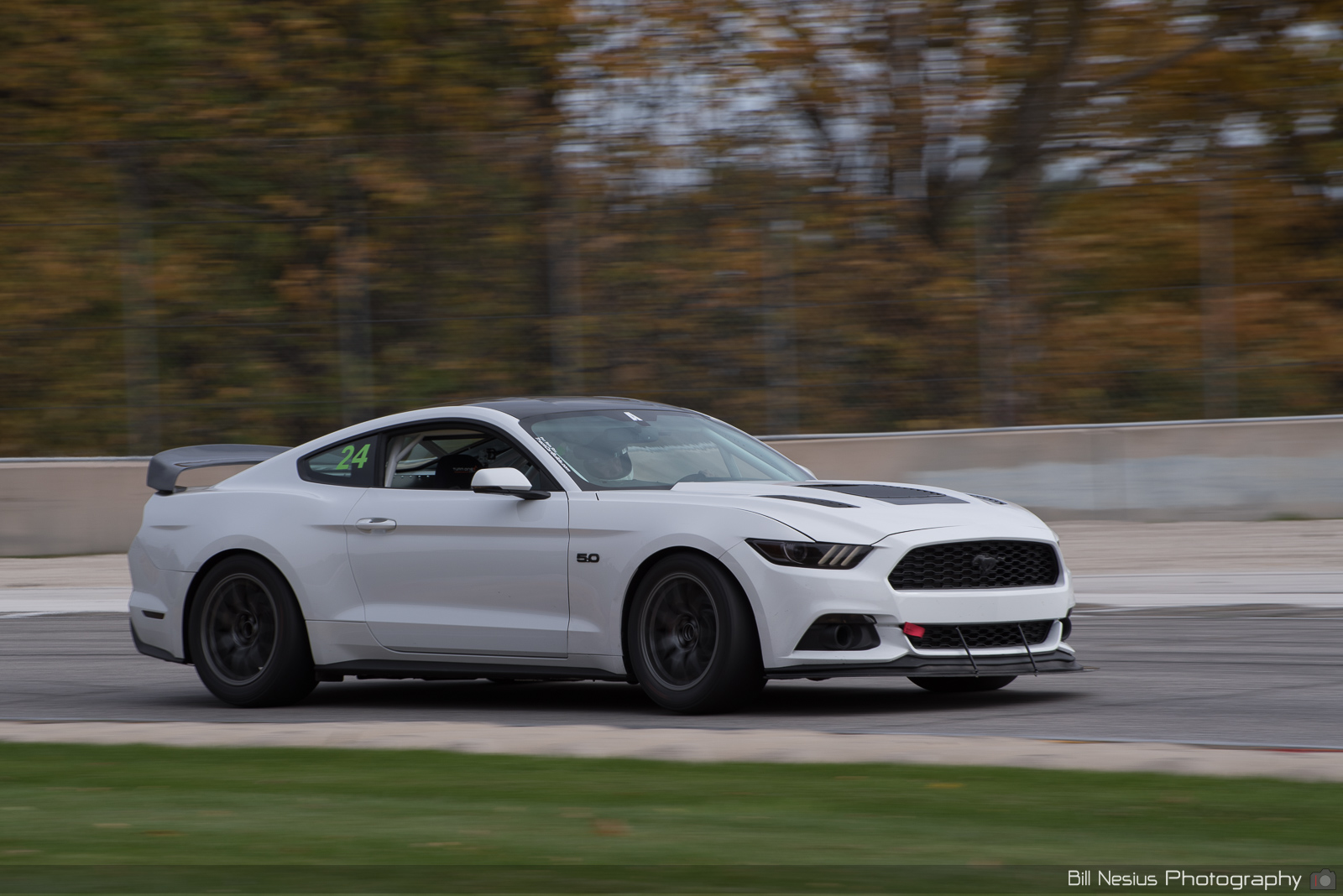 Ford Mustang GT Number 24 ~ DSC_4864 ~ 5