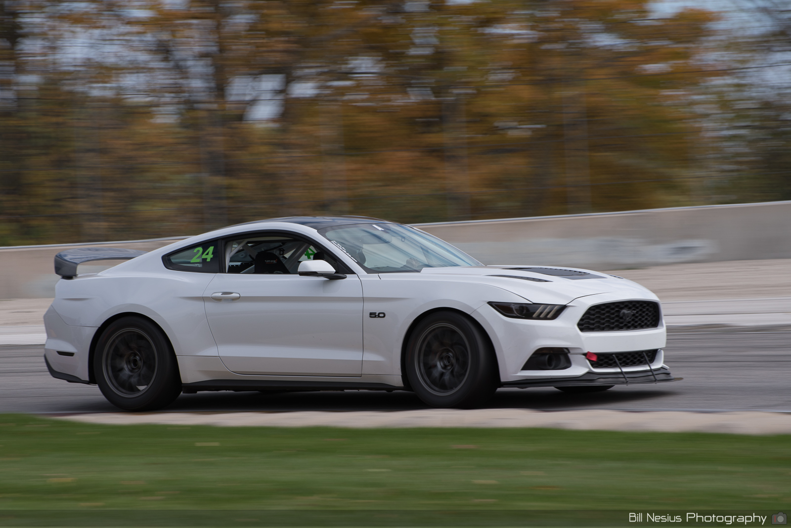 Ford Mustang GT Number 24 ~ DSC_4967 ~ 4