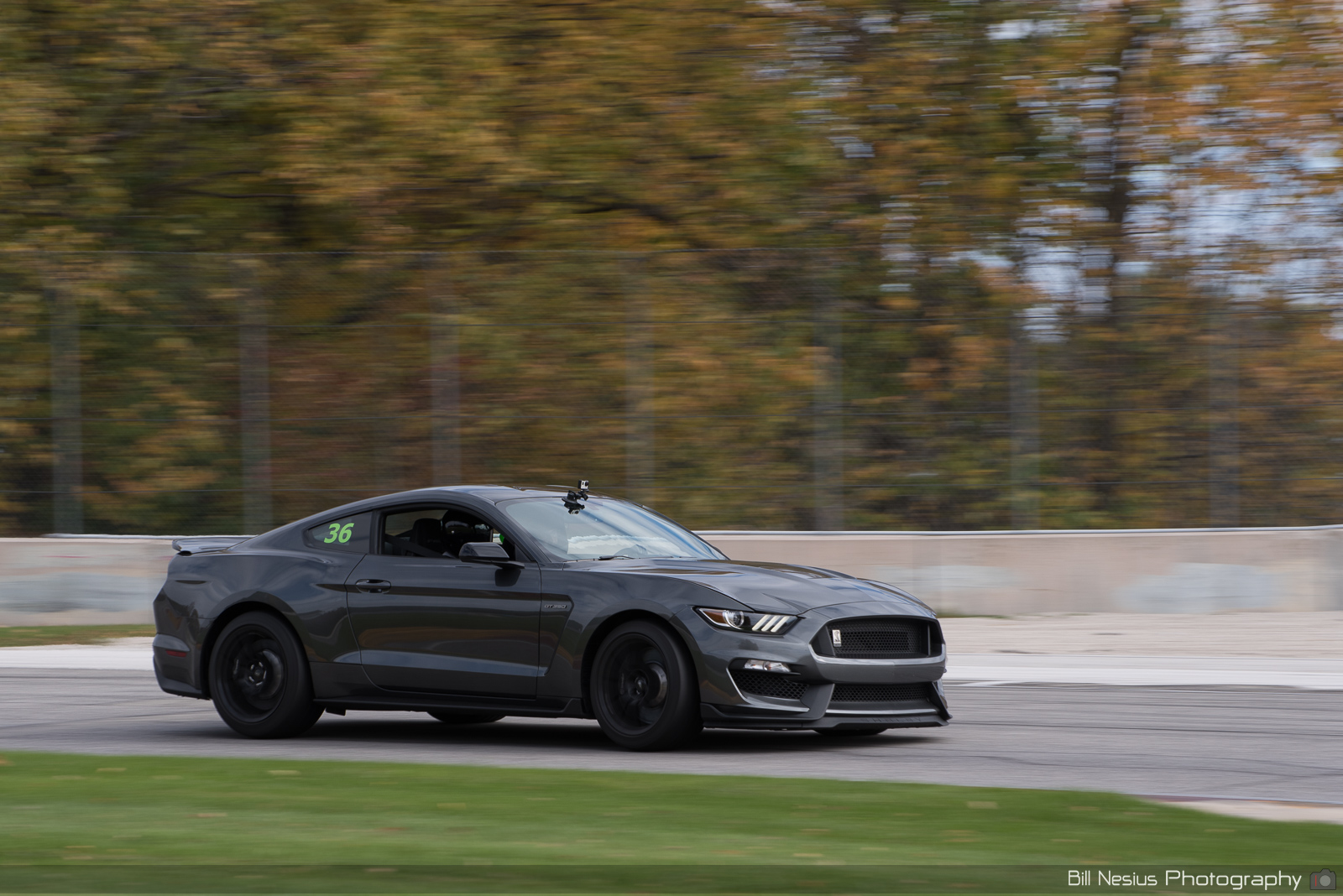 Ford Mustang GT350 Number 36 ~ DSC_4994 ~ 3