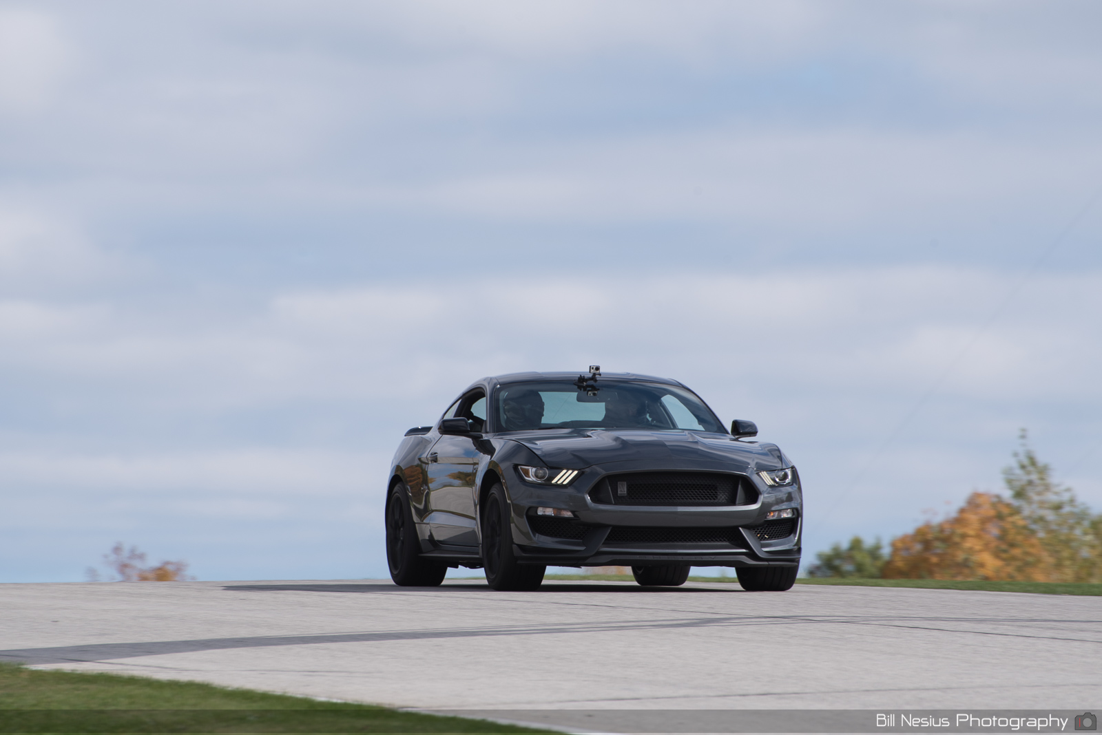Ford Mustang GT350 Number 36 ~ DSC_5113 ~ 3