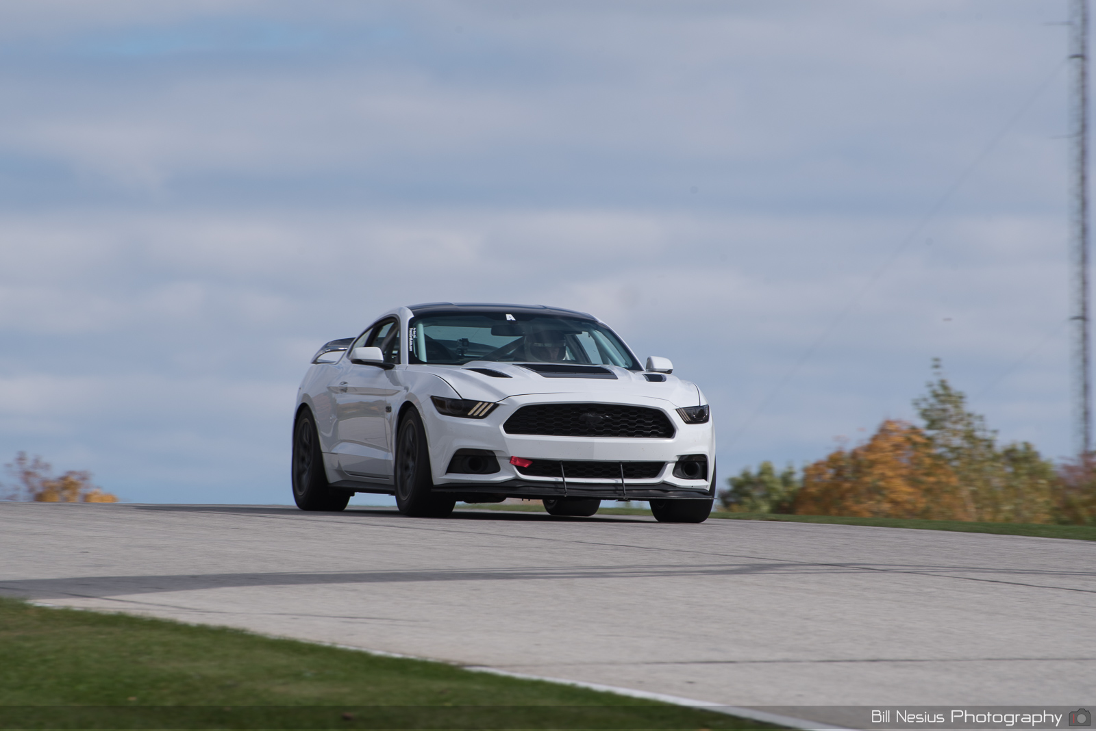 Ford Mustang GT Number 24 ~ DSC_5136 ~ 3