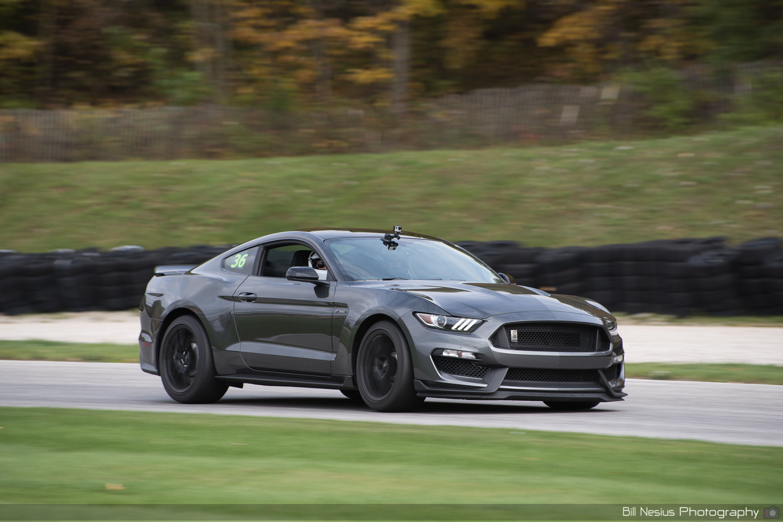 Ford Mustang GT350 Number 36 ~ DSC_6033 ~ 5