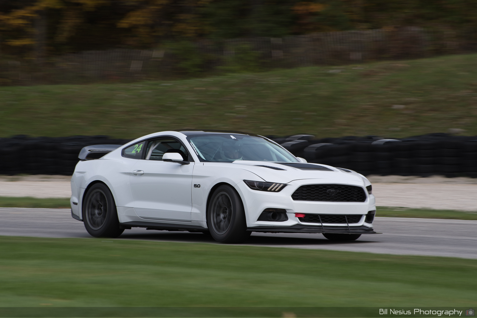 Ford Mustang GT Number 24 ~ DSC_6041 ~ 5