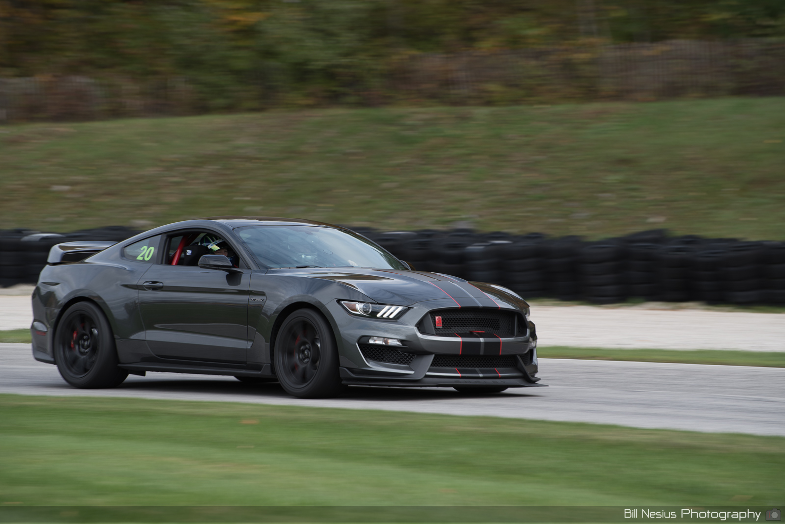 Ford Mustang GT350 Number 20 ~ DSC_6059 ~ 3