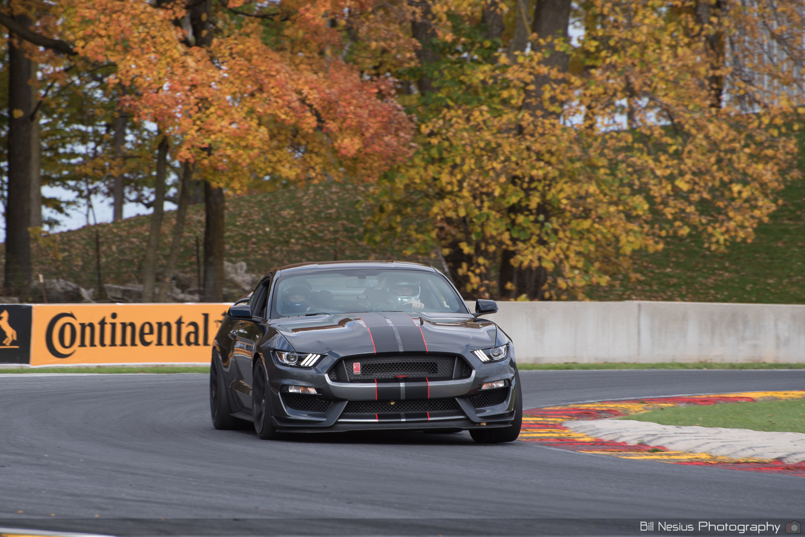 Ford Mustang GT350 Number 20 ~ DSC_6227 ~ 4