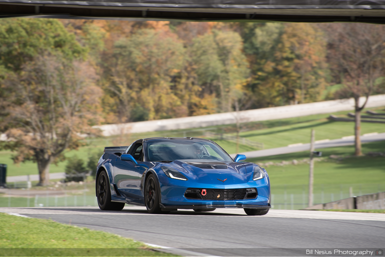 Chevy Corvette Number 15 ~ DSC_6328 ~ 4