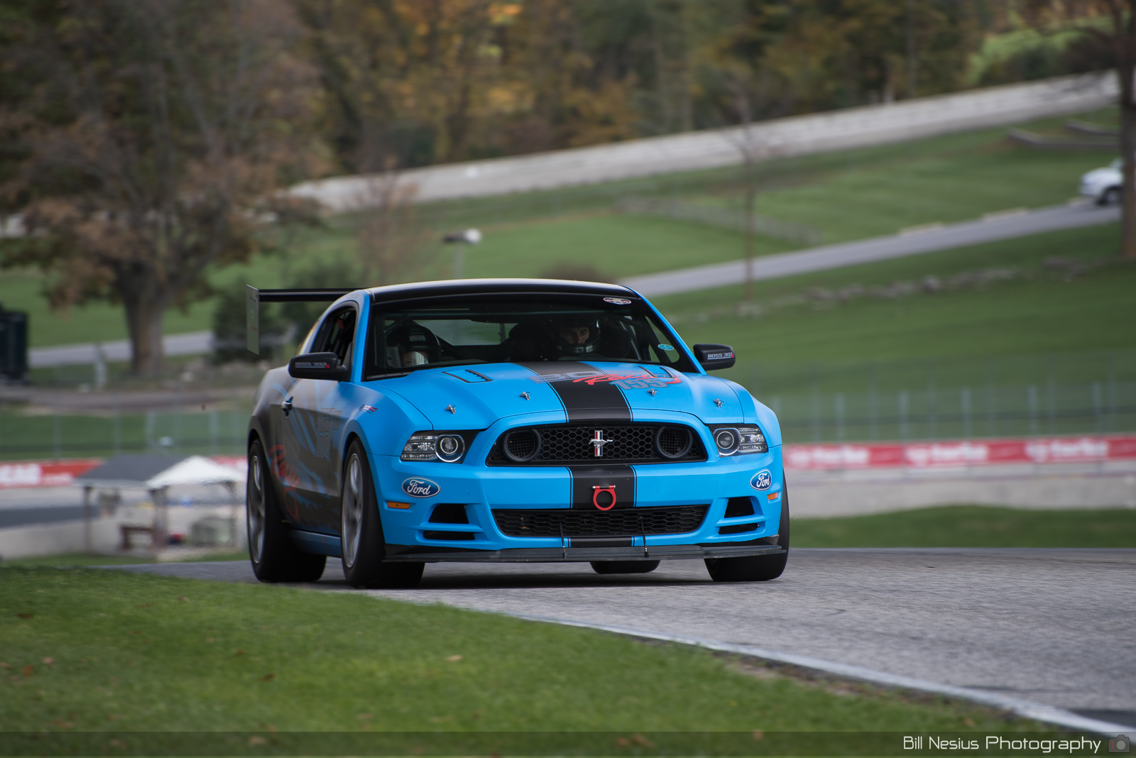 Ford Mustang Number 16 (155) ~ DSC_6355 ~ 4