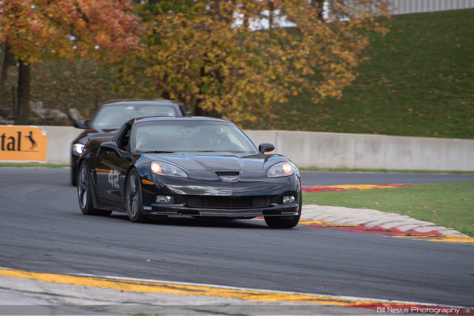Chevy Corvette Number x (42) ~ DSC_6554 ~ 3