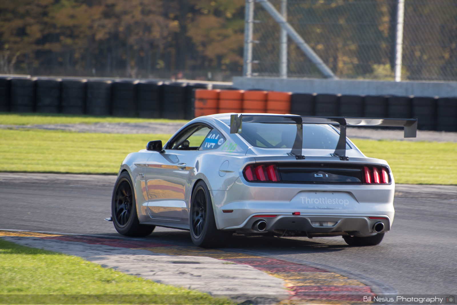 Ford Mustang GT Number 10 (104) ~ DSC_7361 ~ 3