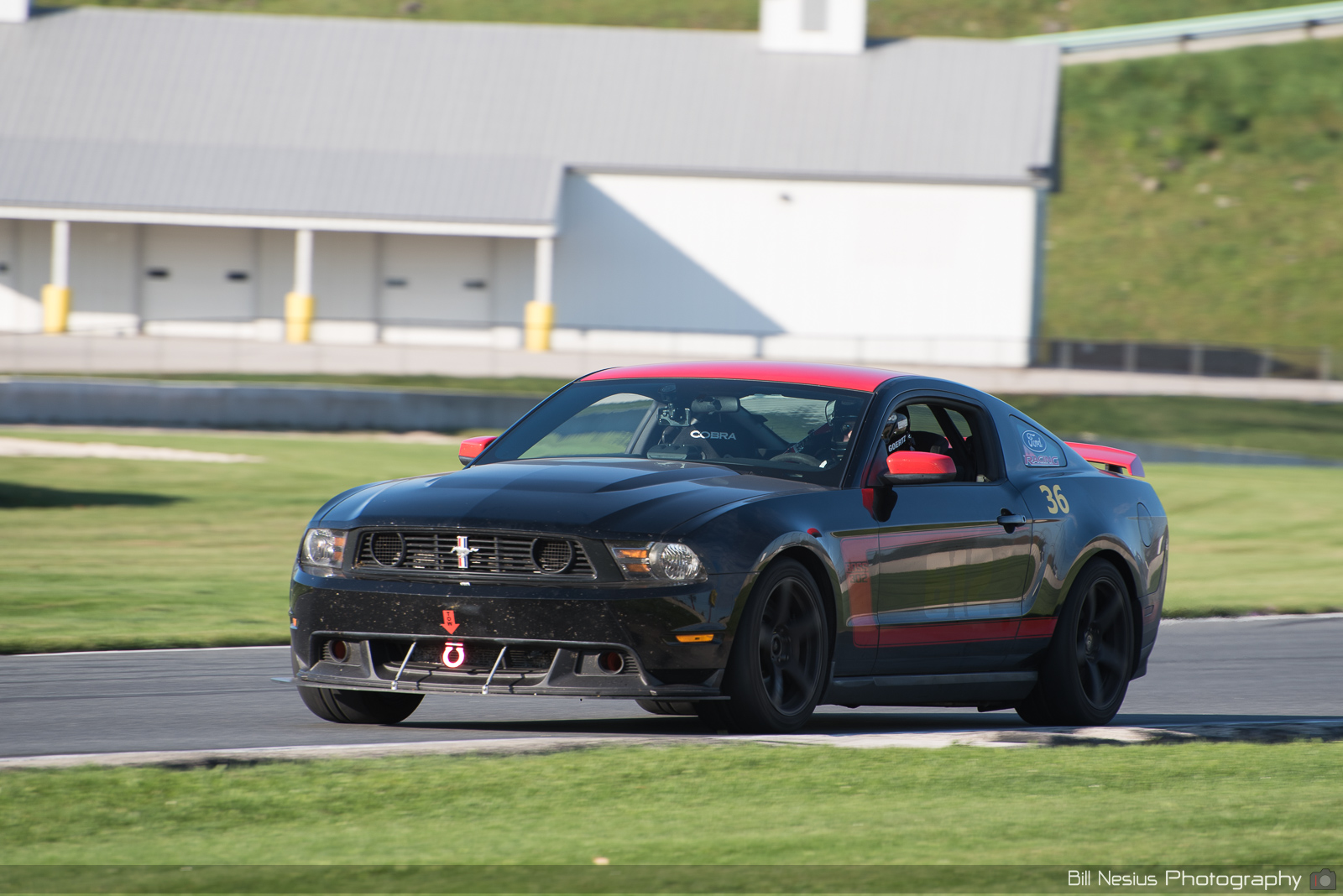 Ford Mustang Boss 302 Number 36 ~ DSC_1707 ~ 3