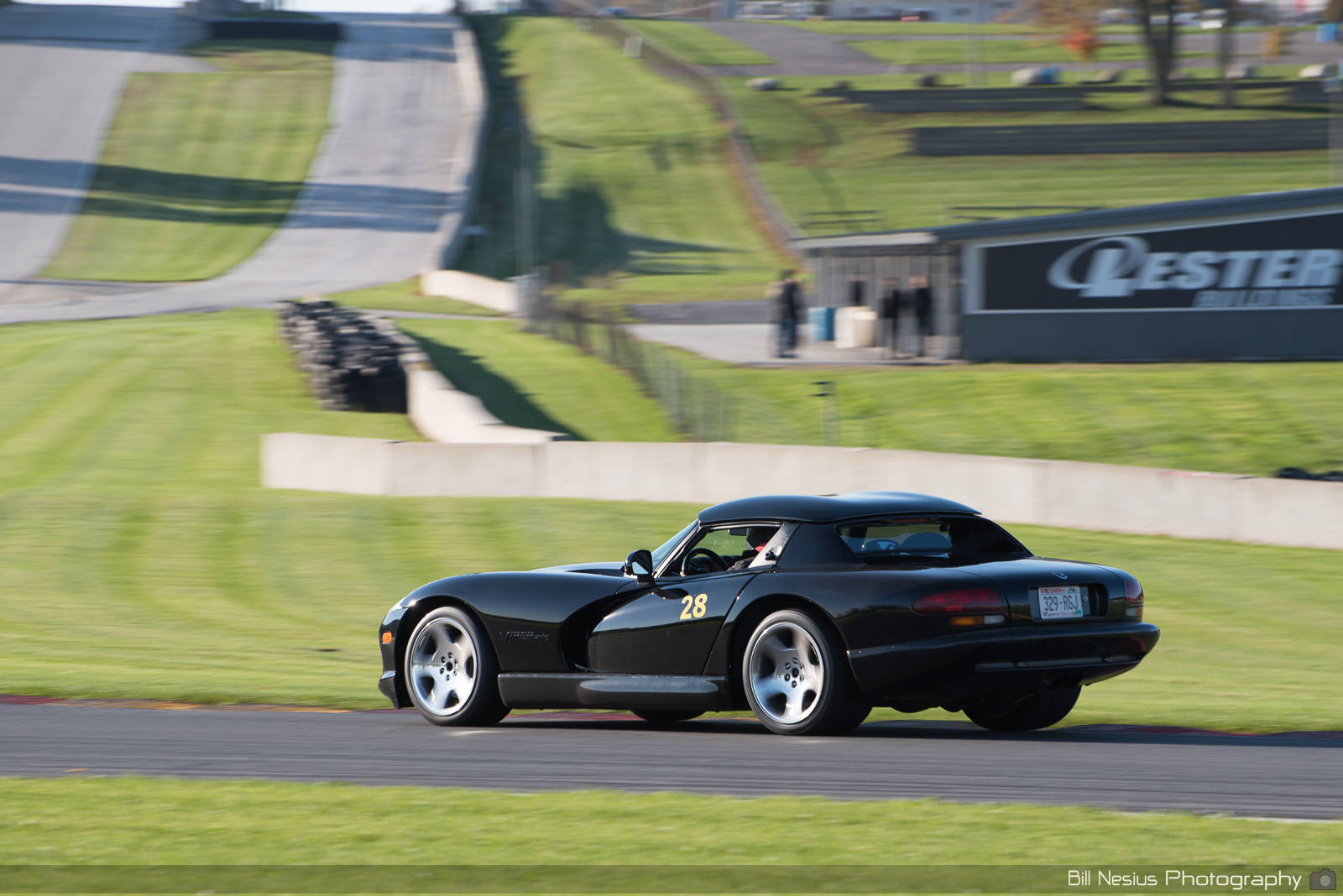 Dodge Viper Number 28 ~ DSC_1720 ~ 3