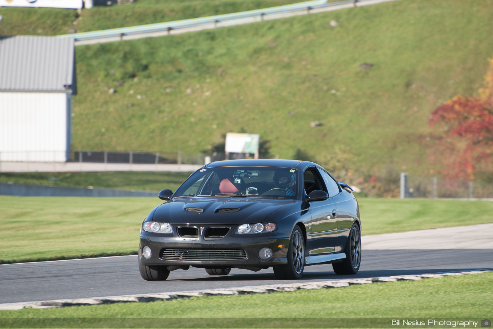 Pontiac GTO Number 9 ~ DSC_1727 ~ 