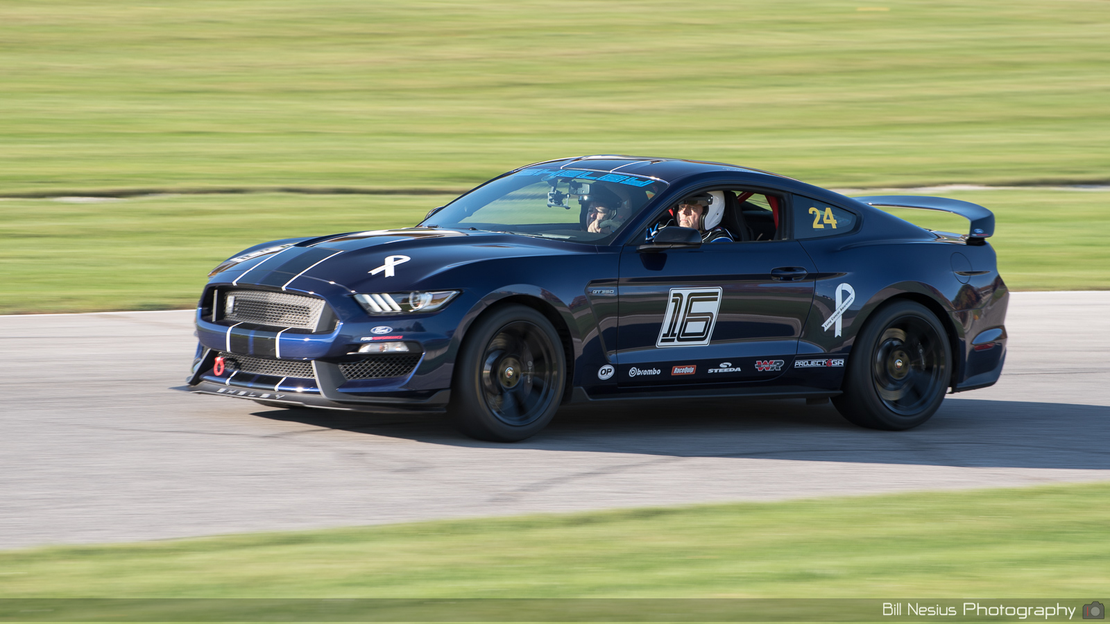 Ford Mustang GT350 Number 24 (16) ~ DSC_1746 ~ 4