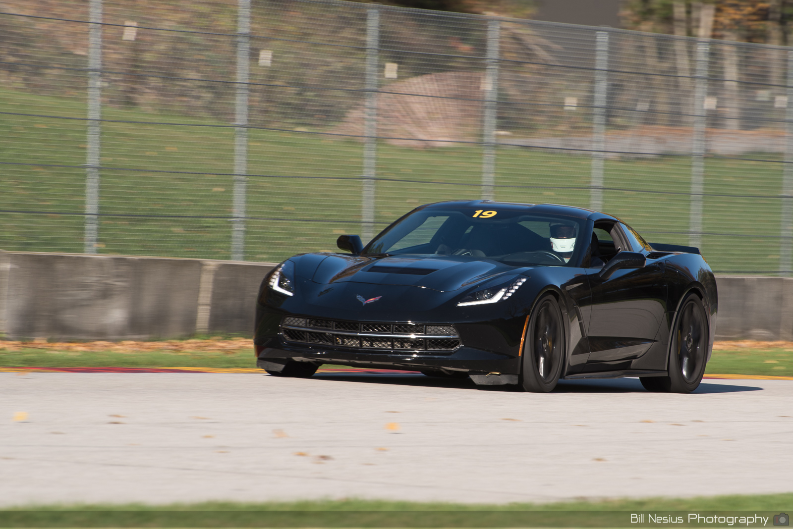 Chevy Corvette Number 19 ~ DSC_1843 ~ 3