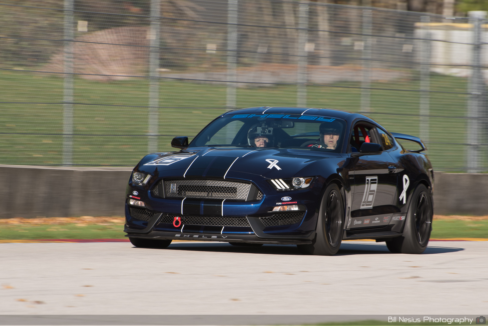 Ford Mustang GT350 Number 24 (16) ~ DSC_1863 ~ 4