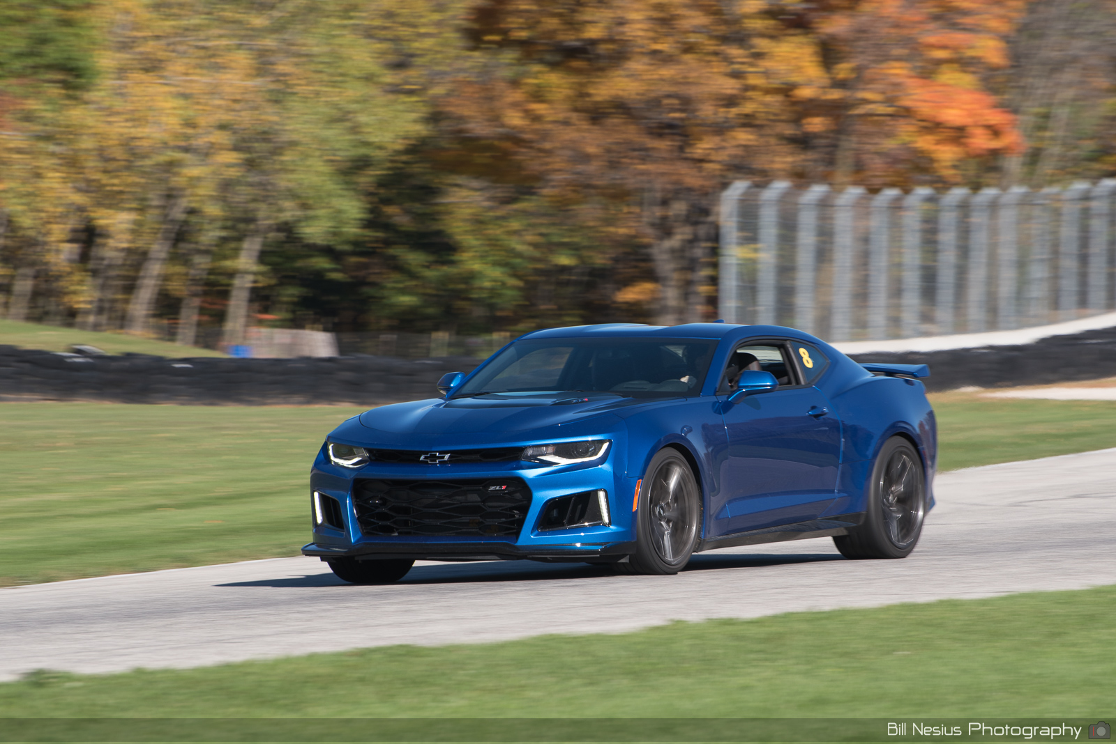 Chevy Camaro ZL1 Number 8 ~ DSC_3009 ~ 4
