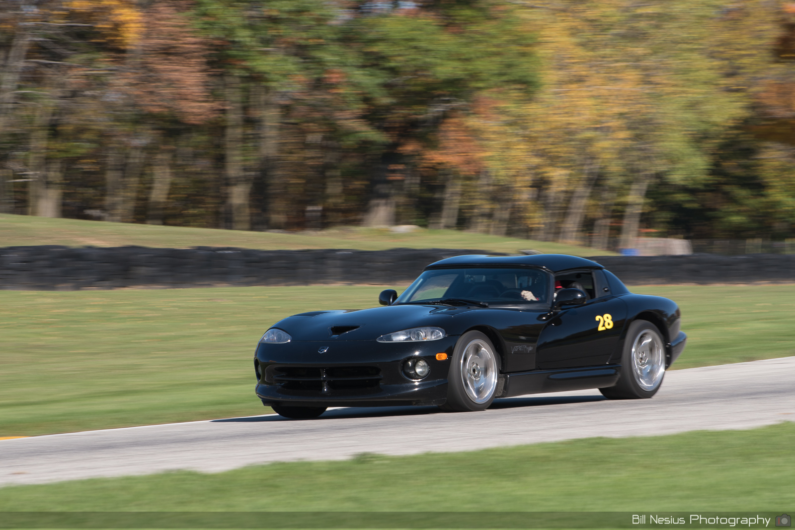 Dodge Viper Number 28 ~ DSC_3064 ~ 4