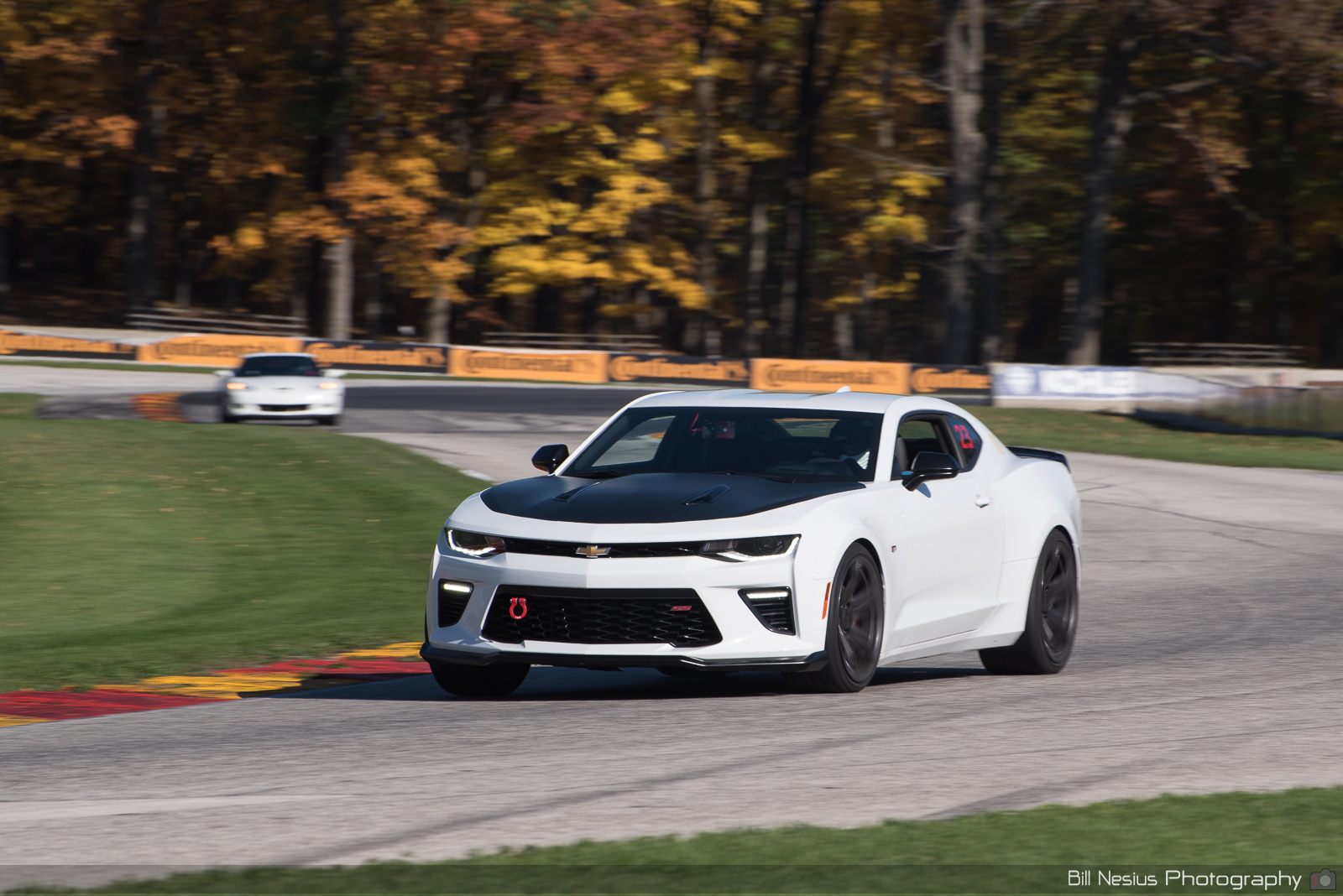 Chevy Camaro Number 10, 23 ~ DSC_3185 ~ 4